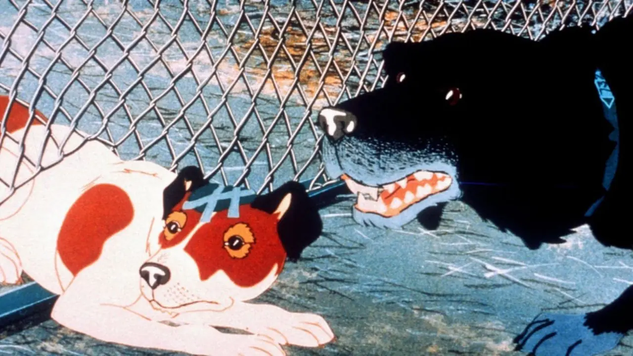Sniffer och Rowf i The Plague Dogs Sniffer och Rowf i The Plague Dogs