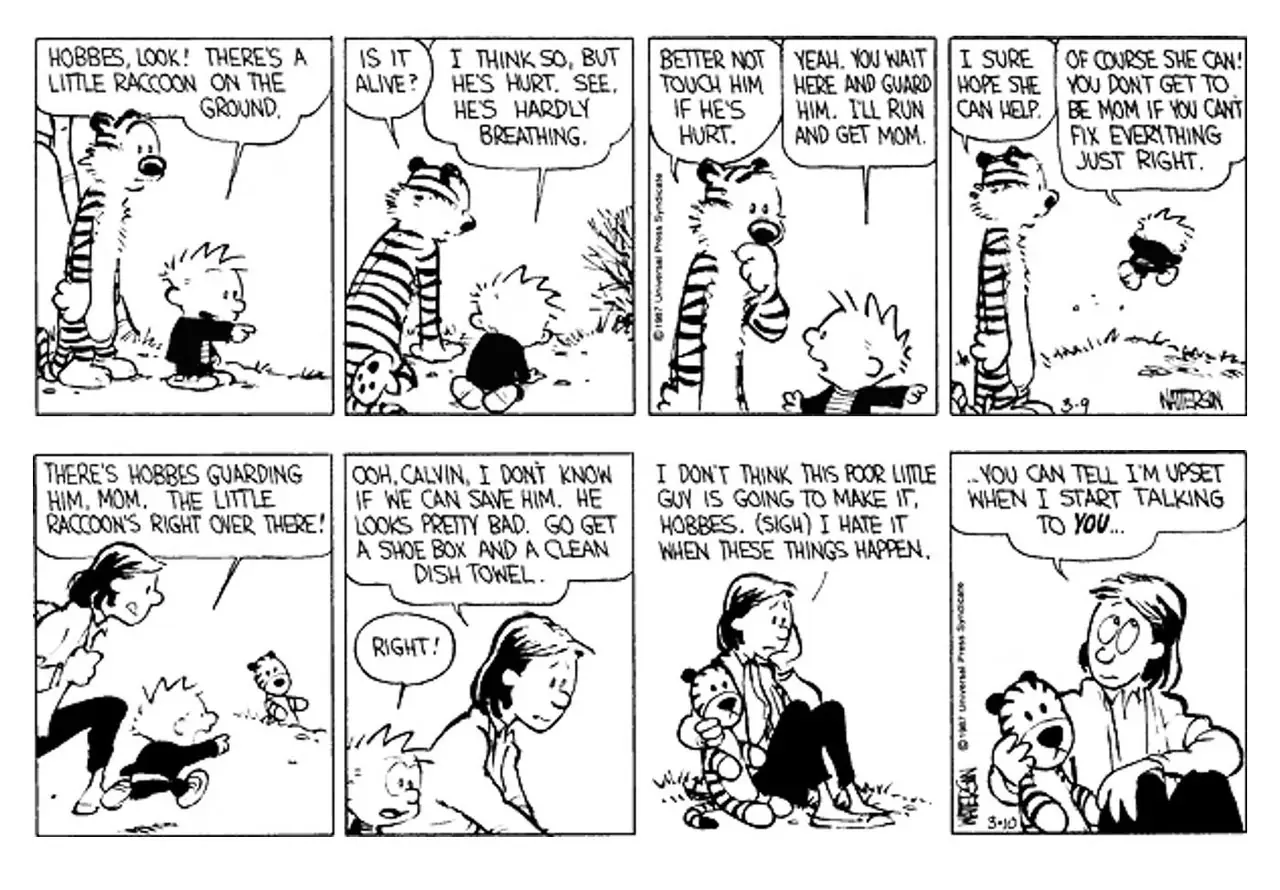 fumetti di procione di calvin e hobbes