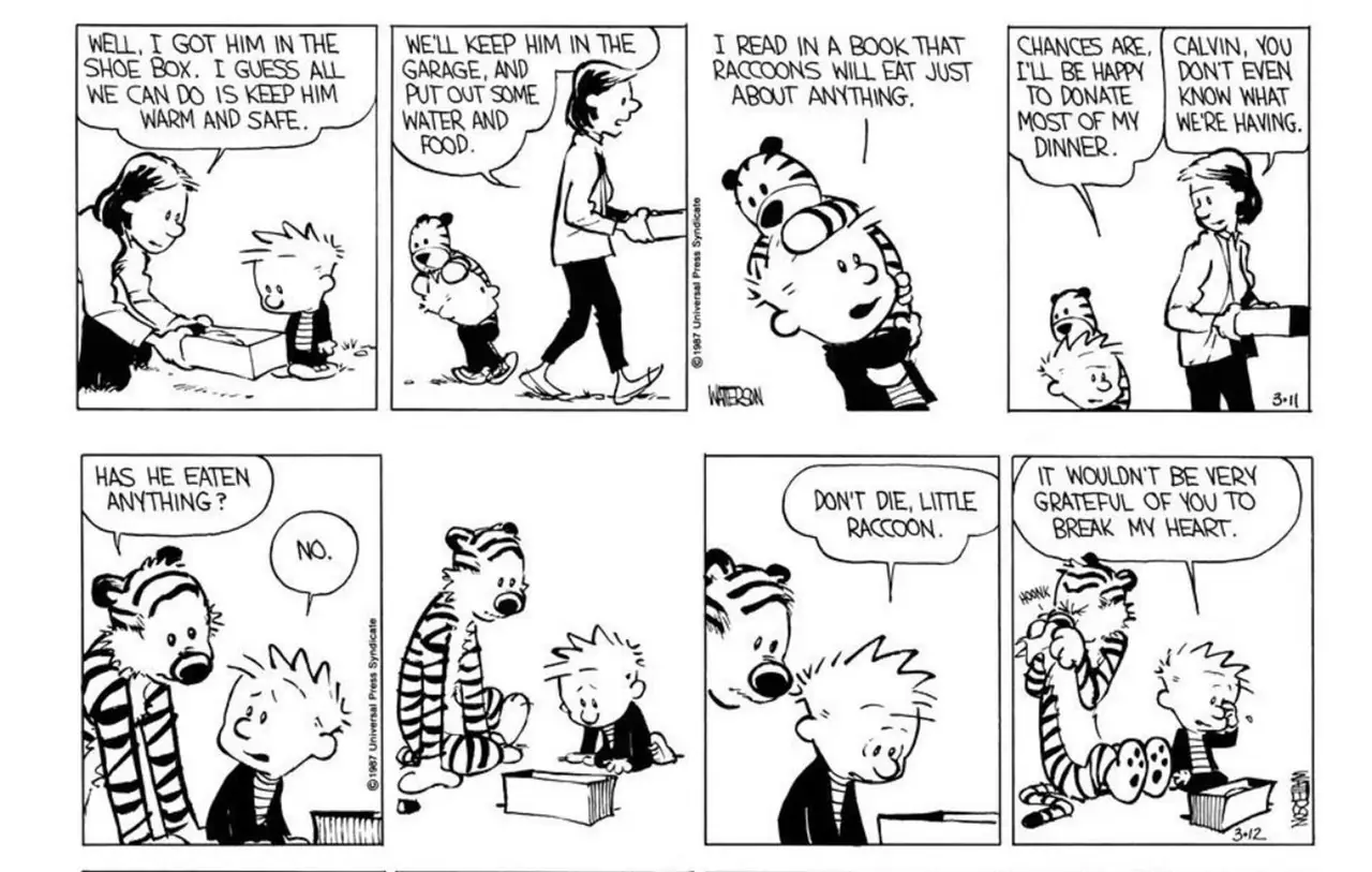 Fumetti di Calvin e Hobbes sulla storia del cucciolo di procione (parti 3 e 4)
