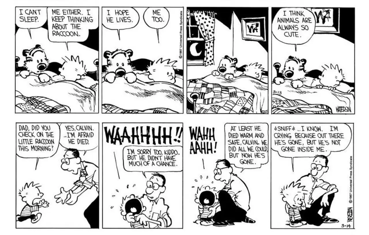 Fumetti di Calvin e Hobbes sulla storia del cucciolo di procione (parti 5 e 6)