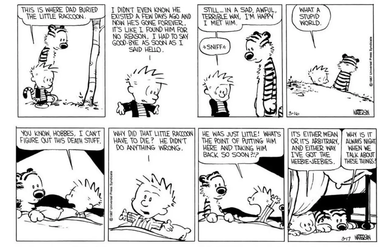 Fumetti di Calvin e Hobbes sulla storia del cucciolo di procione (parti 7 e 8)
