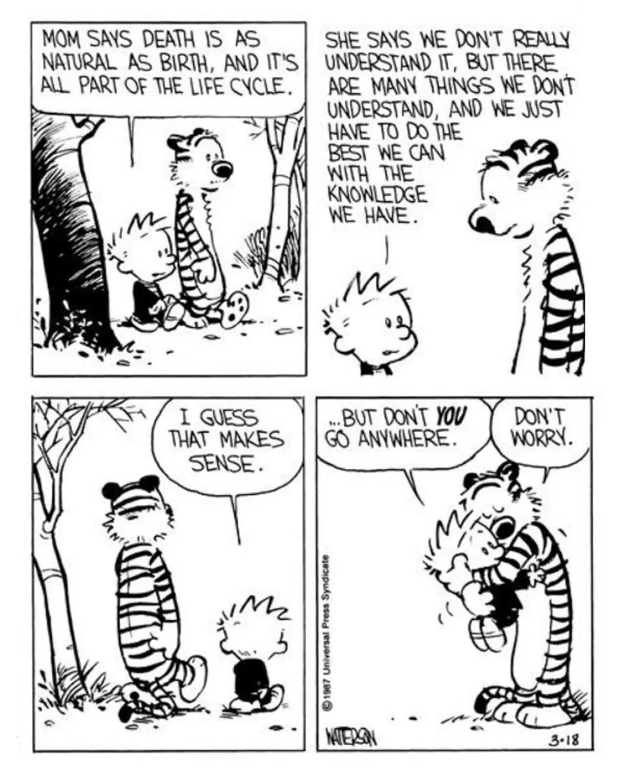 Striscia finale del procione di Calvin e Hobbes Striscia finale del procione di Calvin e Hobbes