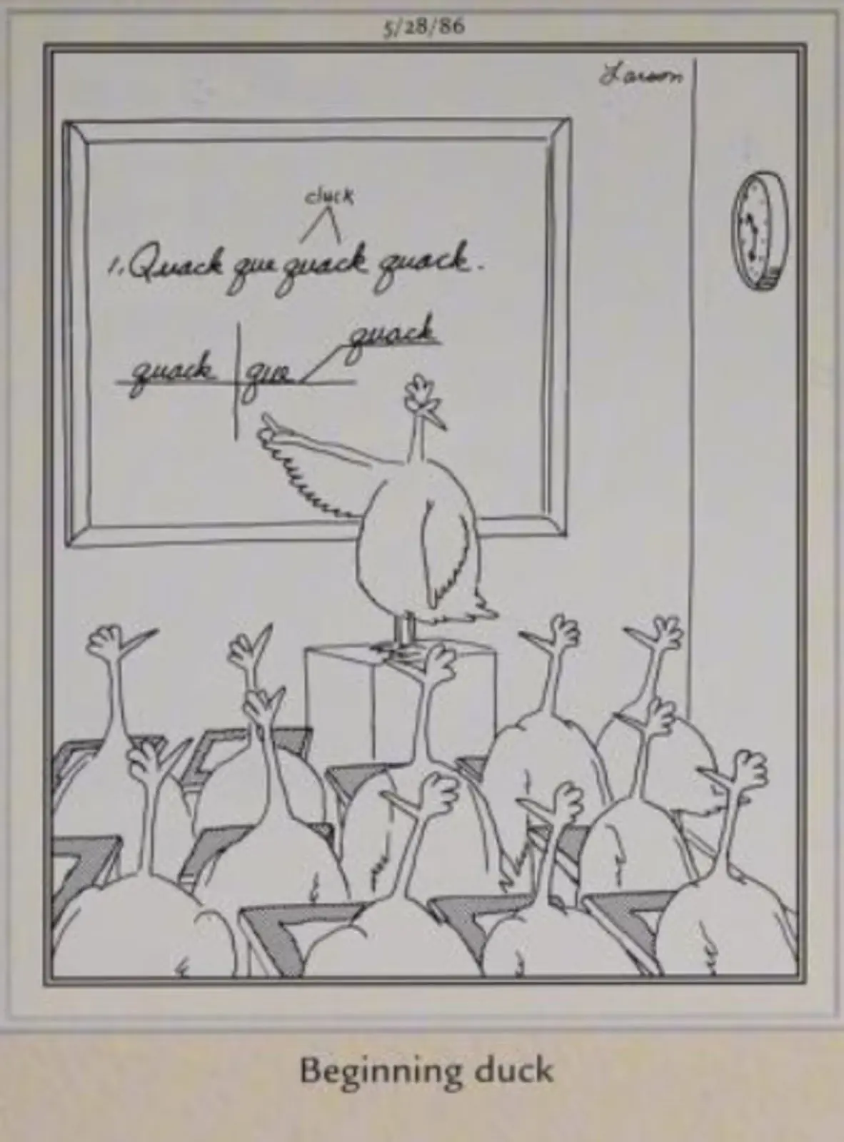 Far Side, 28 mei 1986, kippen leren 'begineend'