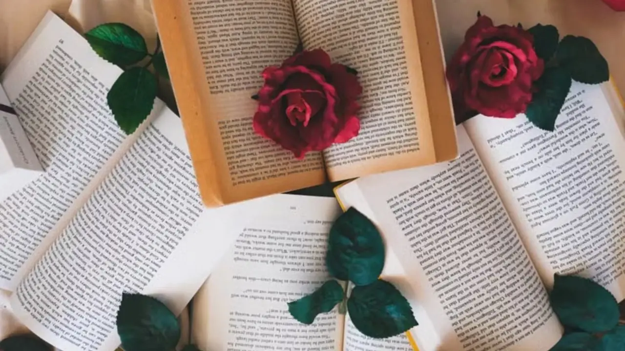 Обложка статьи в романтической книге в жанре фэнтези (2)