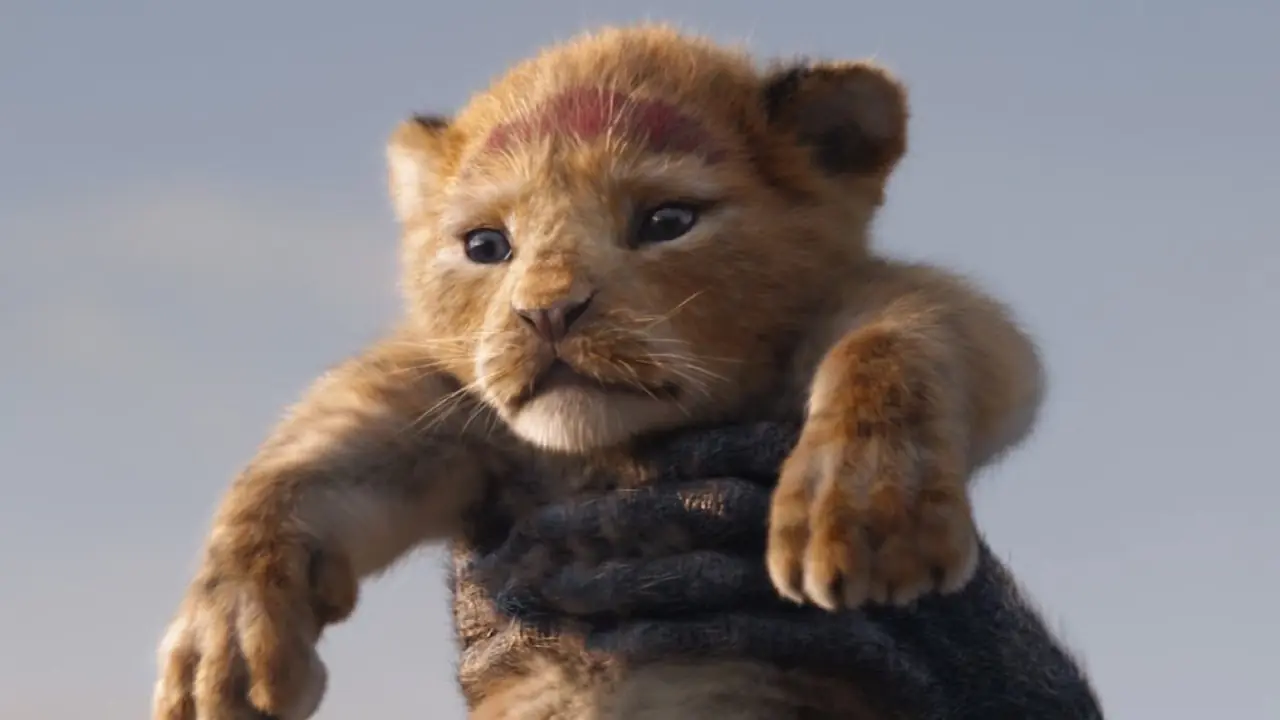 Simba da bambino ne Il Re Leone Simba da bambino ne Il Re Leone