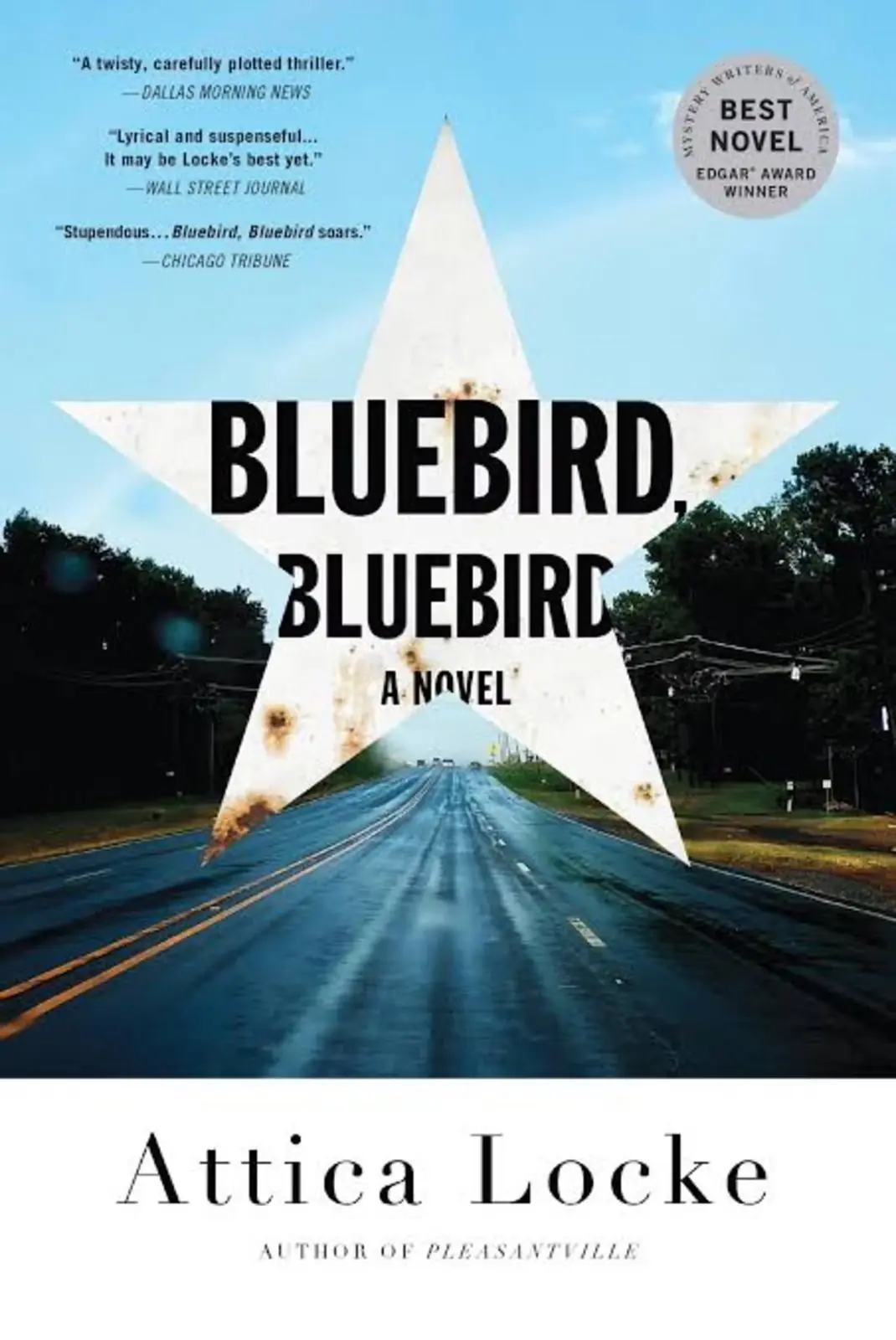 Portada del libro Bluebird