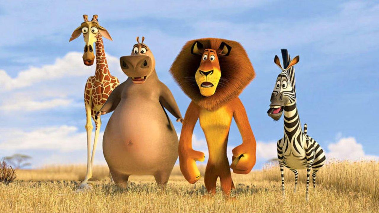 Gli animali del Madagascar stavano fianco a fianco Gli animali del Madagascar stavano fianco a fianco