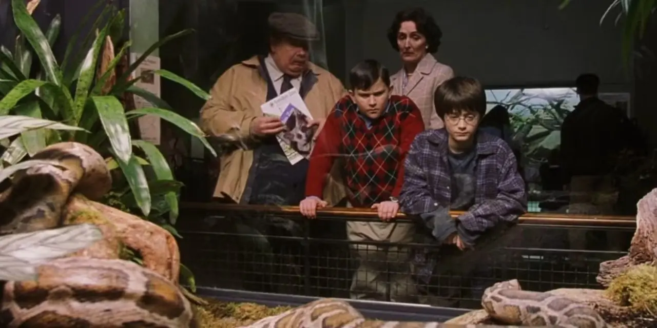 Harry Potter y los Dursley mirando la jaula de serpientes del zoológico Harry Potter y los Dursley mirando la jaula de serpientes del zoológico