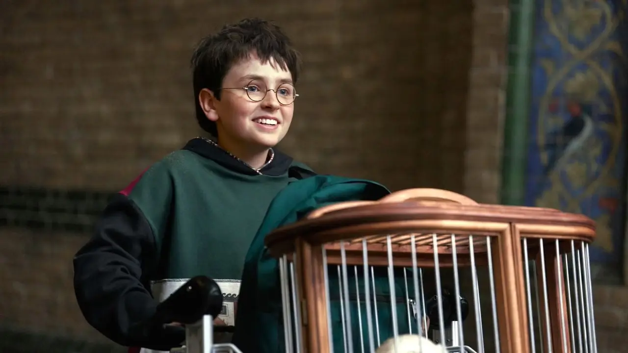 Dominic McLaughlin como Harry Potter con Hedwig en Harry Potter y la piedra filosofal Dominic McLaughlin como Harry Potter con Hedwig en Harry Potter y la piedra filosofal
