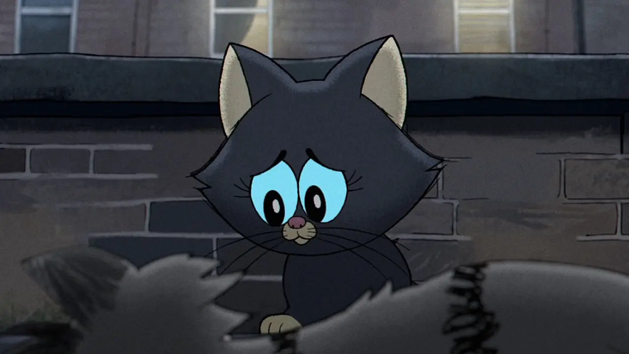 تبدو القطة حزينة في Alley Cats