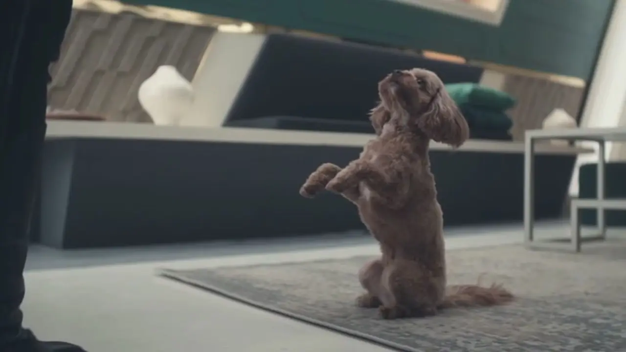 Runa Ewok sluit zich aan bij Star Trek Strange New Worlds